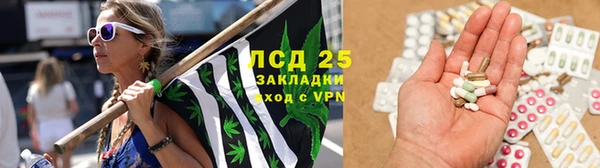 дживик Грязи