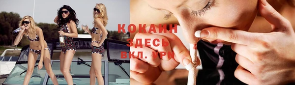 твердый Покровск