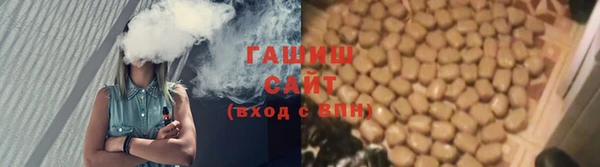 стаф Елизово