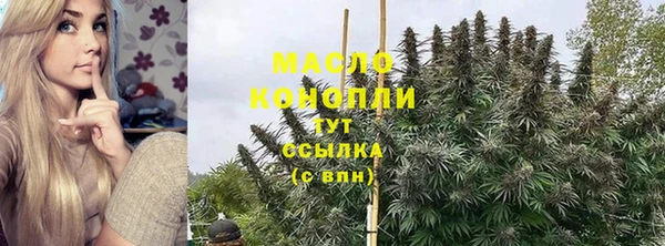 дмт Пестово