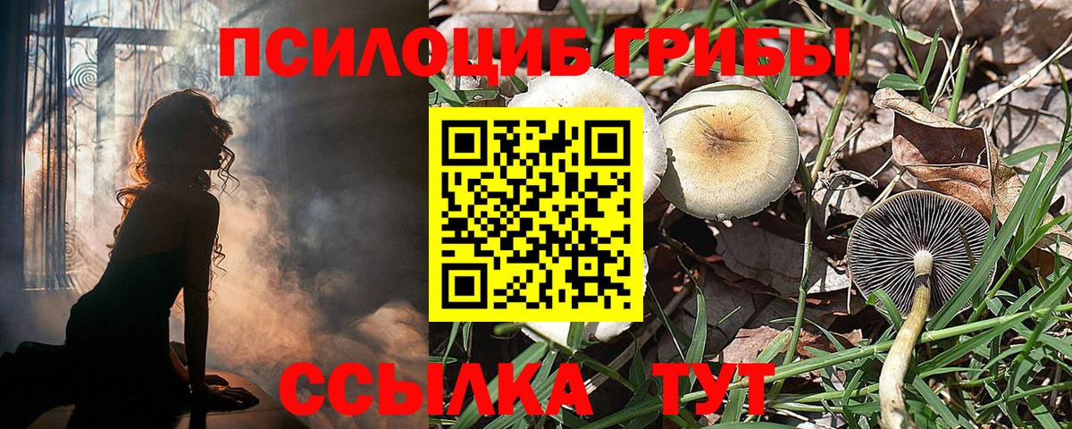 Псилоцибиновые грибы Magic Shrooms  Вход с VPN  Анжеро-Судженск  Галлюциногенные грибы Psilocybine cubensis 
