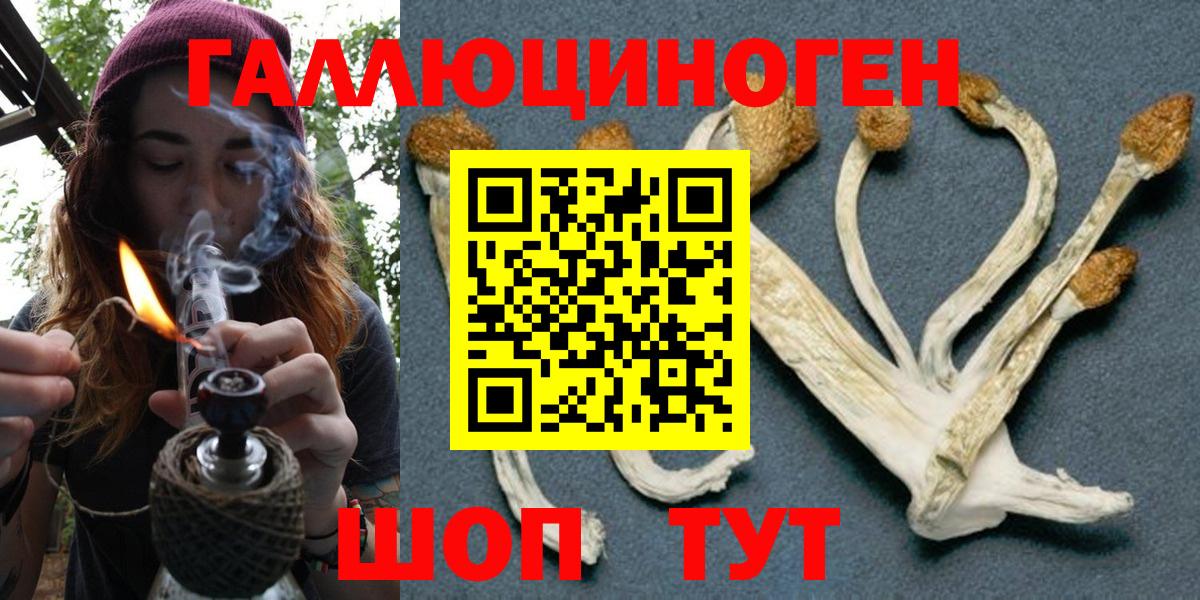 сколько стоит  Анжеро-Судженск  Псилоцибиновые грибы GOLDEN TEACHER 