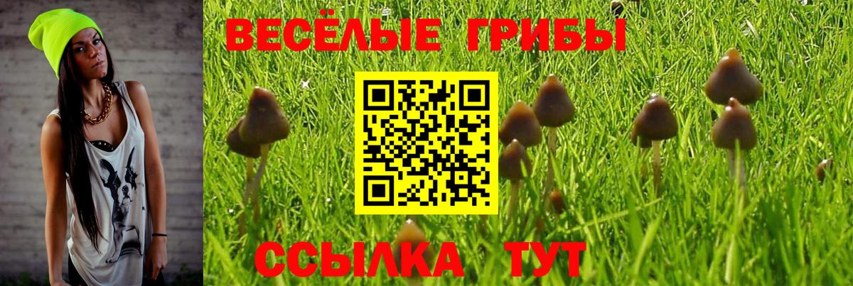 Галлюциногенные грибы прущие грибы Анжеро-Судженск