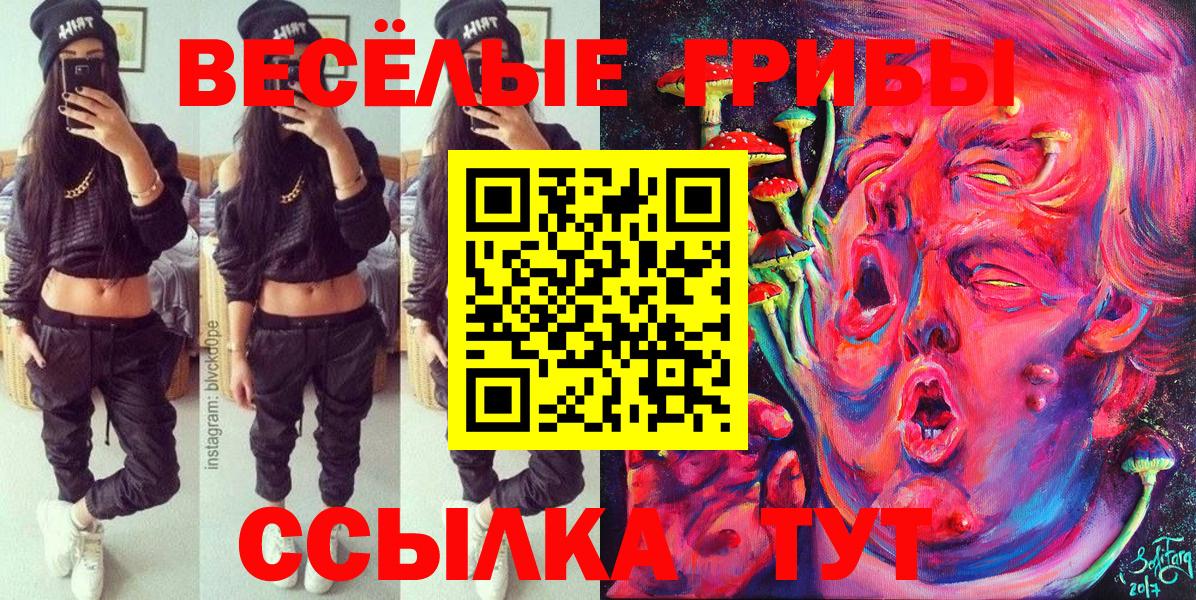 Псилоцибиновые грибы прущие грибы  Вход с VPN  Галлюциногенные грибы GOLDEN TEACHER  Анжеро-Судженск 